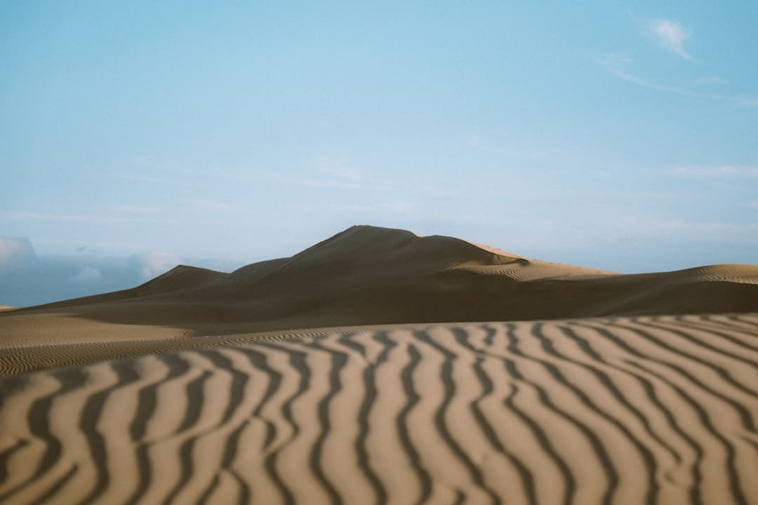 南河小仙女是什么梗
